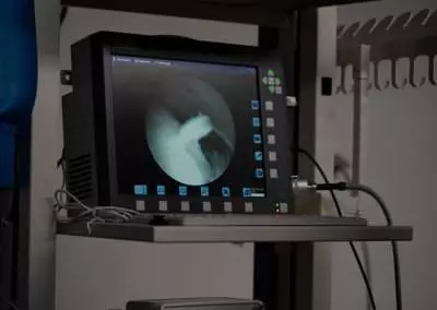 chirurgie équine