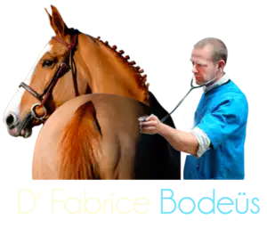 Voulez-vous en savoir plus sur les soins équins ?
