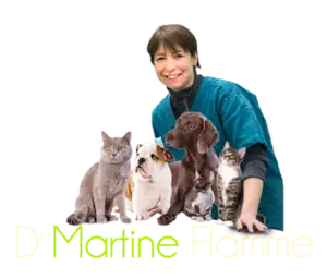 Aimez-vous les animaux ?