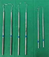 Instruments de palpation dentaire pour cheveaux Instruments de palpation